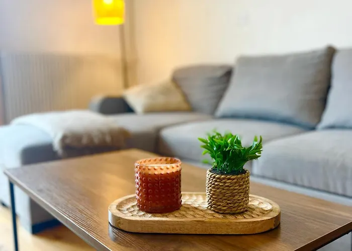 L'ecume, Avec Wifi, En Centre-ville De *