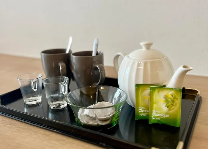 L'ecume, Avec Wifi, En Centre-ville De